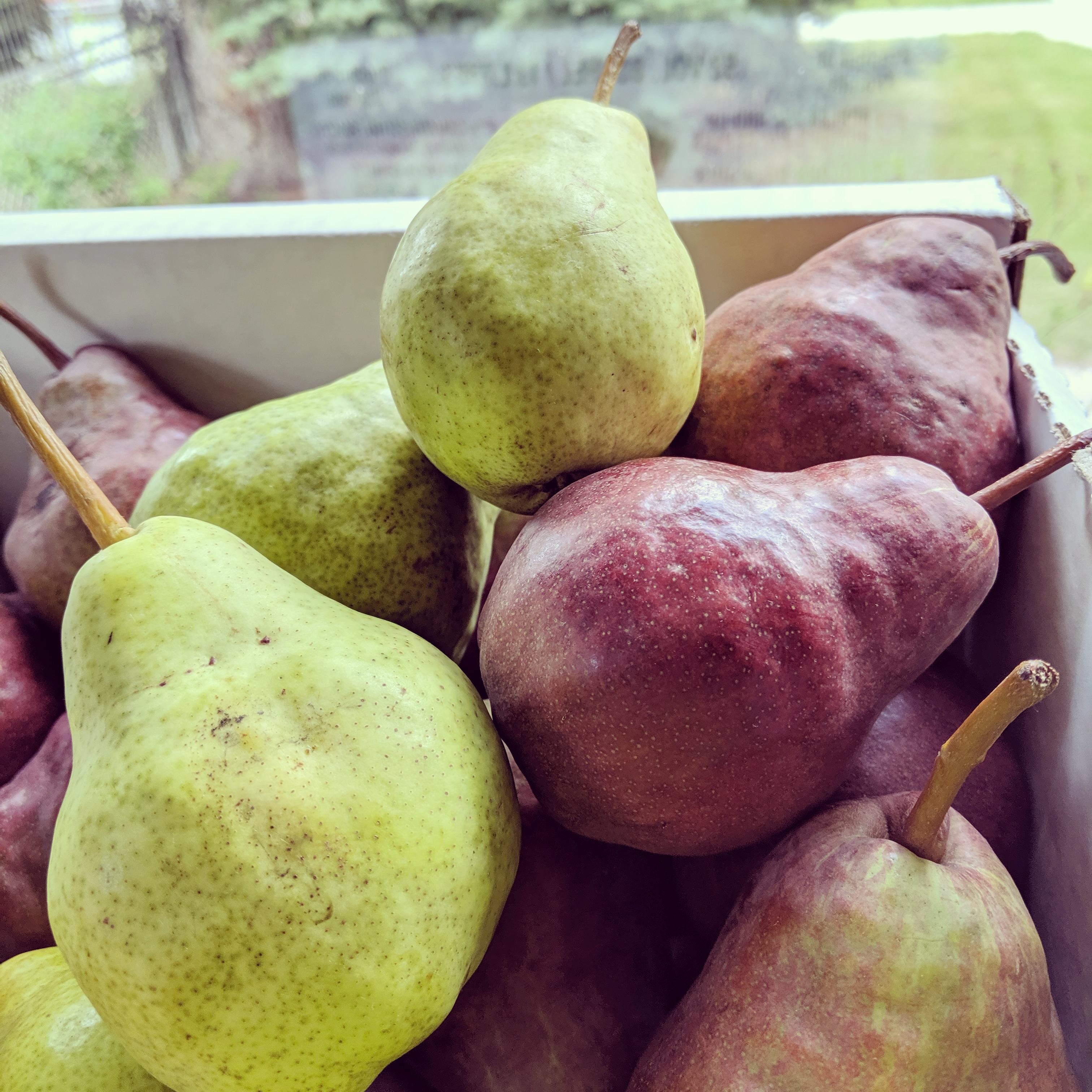 Fresh BC pears — green and red varieties