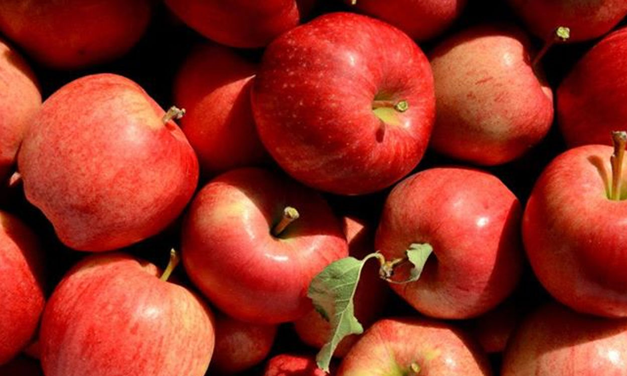 Apples