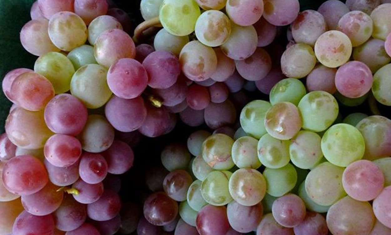 Penticton Farmers' Market